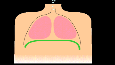 تنفس